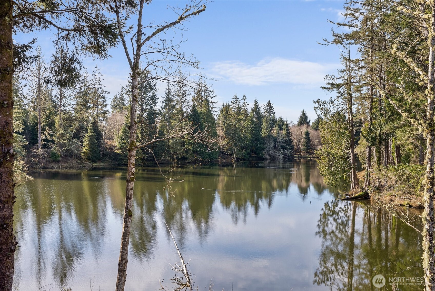 4 Lakeview Lane South Bend WA 98586