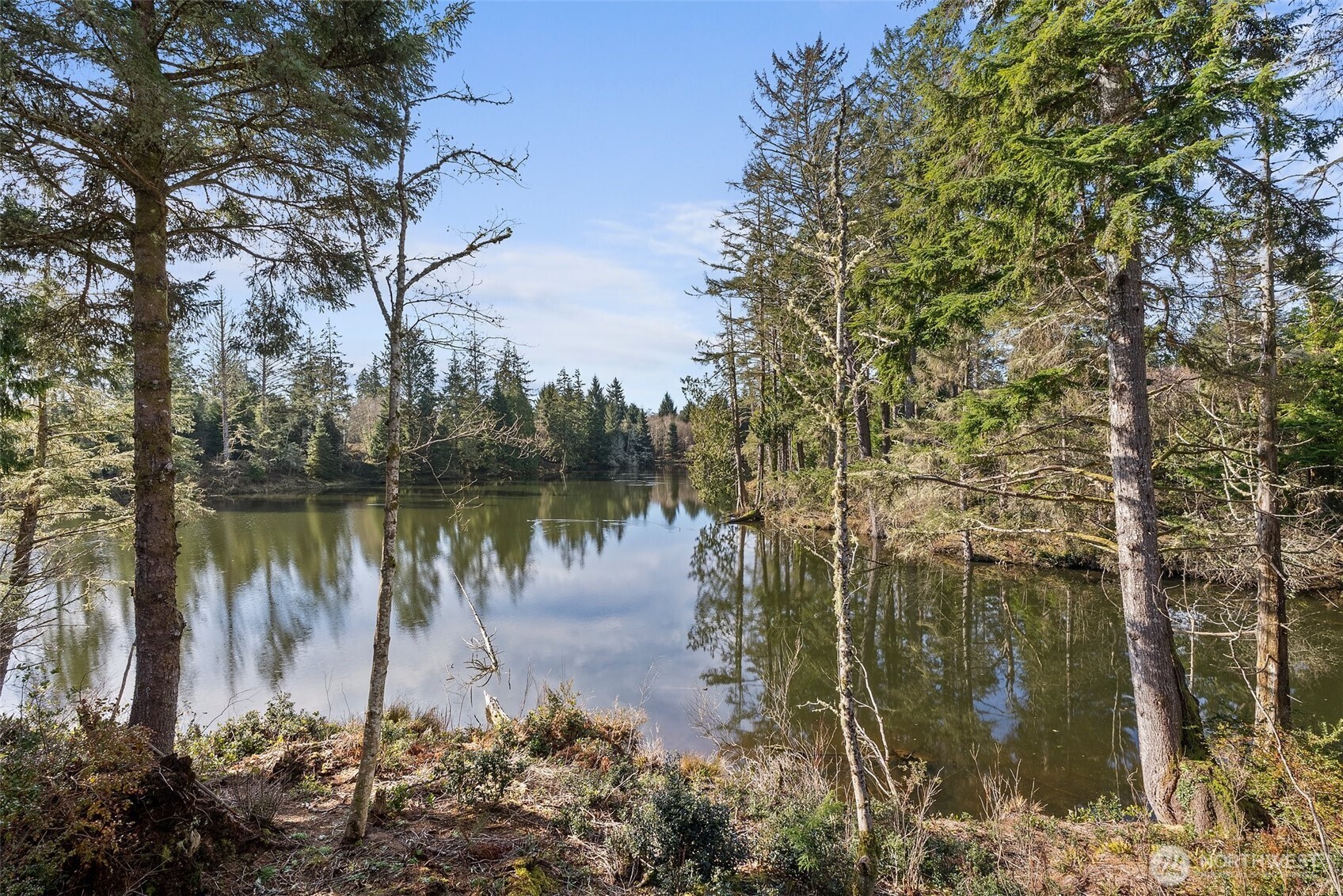 4 Lakeview Lane South Bend WA 98586