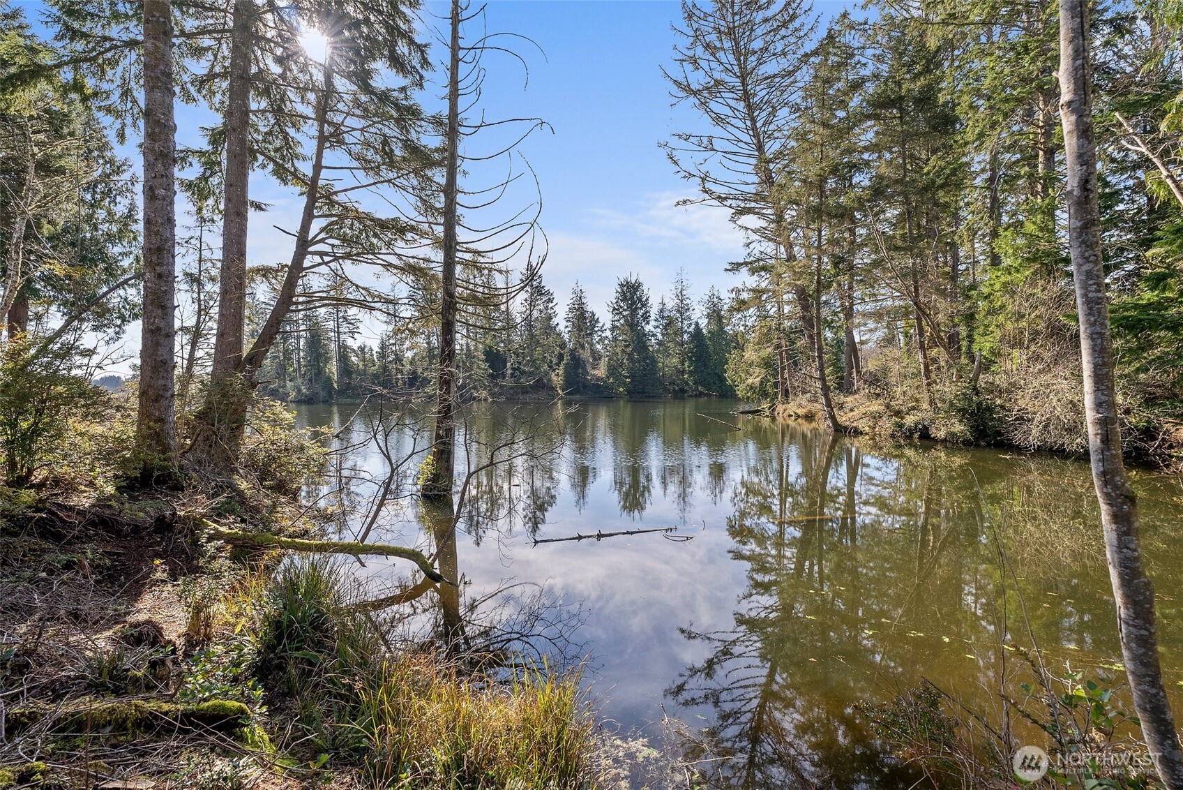 4 Lakeview Lane South Bend WA 98586