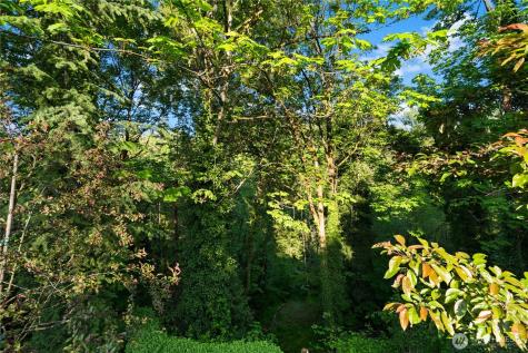 4918 119th Avenue SE Bellevue WA 98006