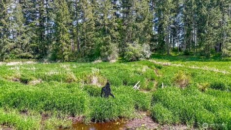 5708 315th Street Ct S Roy WA 98580