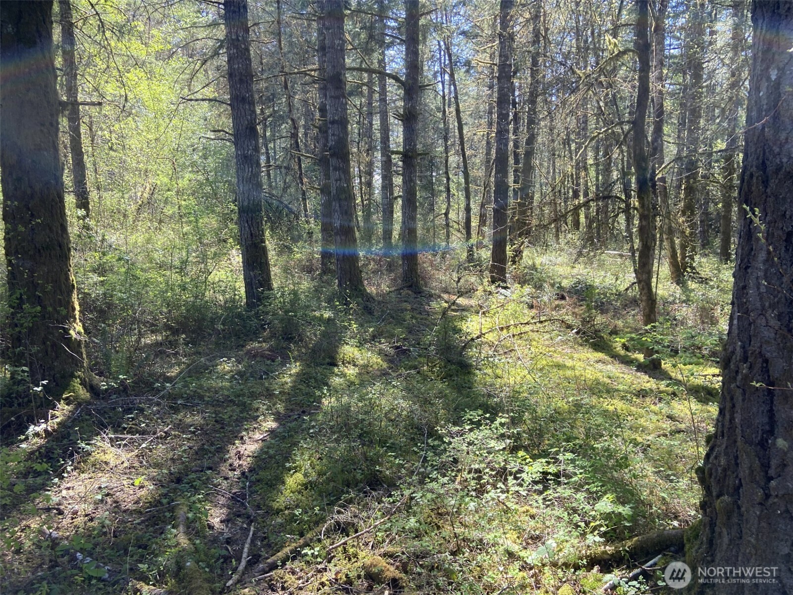 6847 Libby Road NE Olympia WA 98506