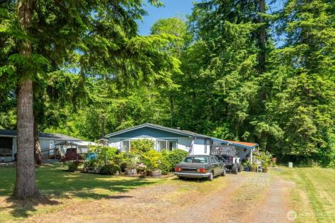 17340 Sargent Road SW Rochester WA 98579