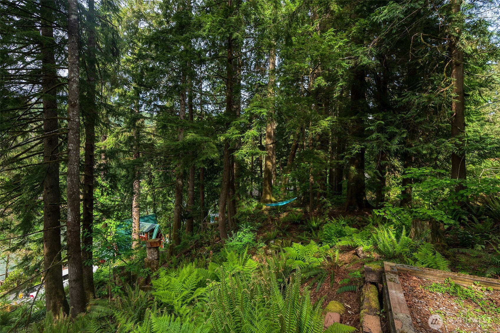 51911 S Riverside Road Gold Bar WA 98251
