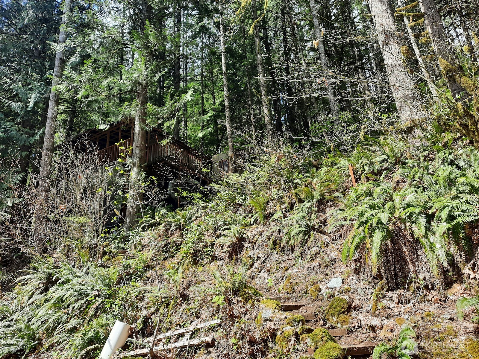 64011 E Cascade Drive Marblemount WA 98267