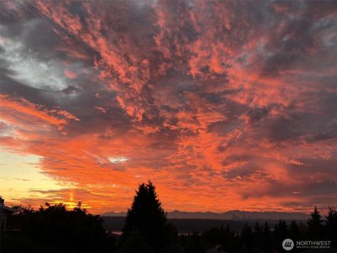 13635 SE 43rd Street Bellevue WA 98006