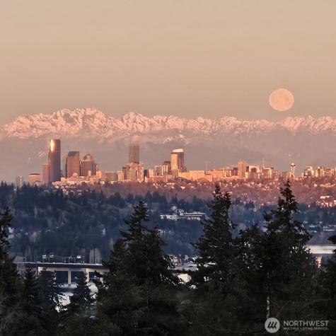 13635 SE 43rd Street Bellevue WA 98006