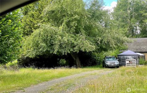 425 Winston Creek Road Mossyrock WA 98564