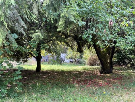 425 Winston Creek Road Mossyrock WA 98564