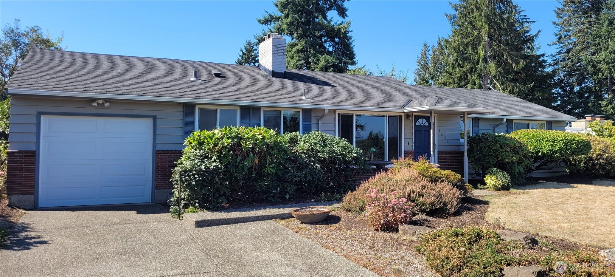 1803 126th Avenue SE Bellevue WA 98005