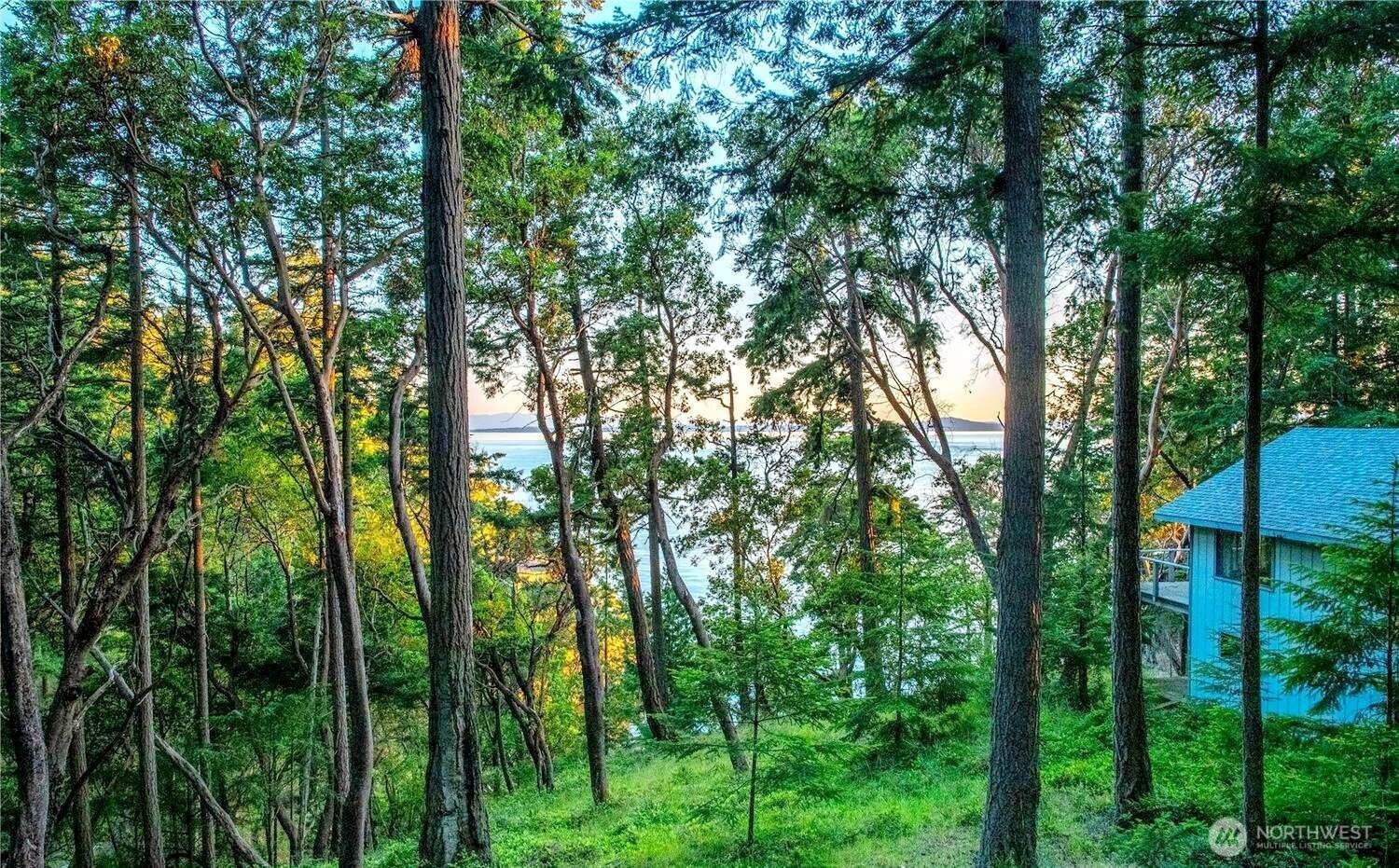 265 Madrona Drive Friday Harbor WA 98250