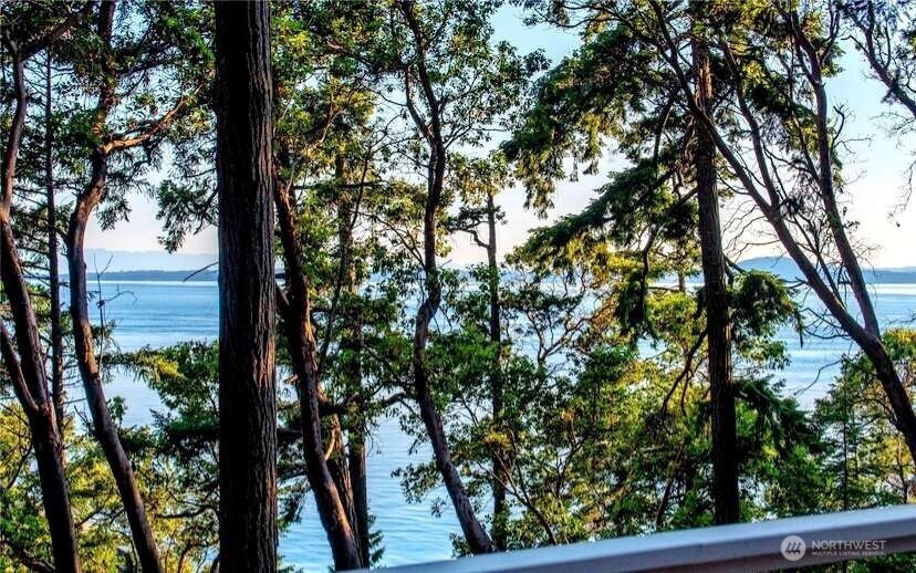 265 Madrona Drive Friday Harbor WA 98250
