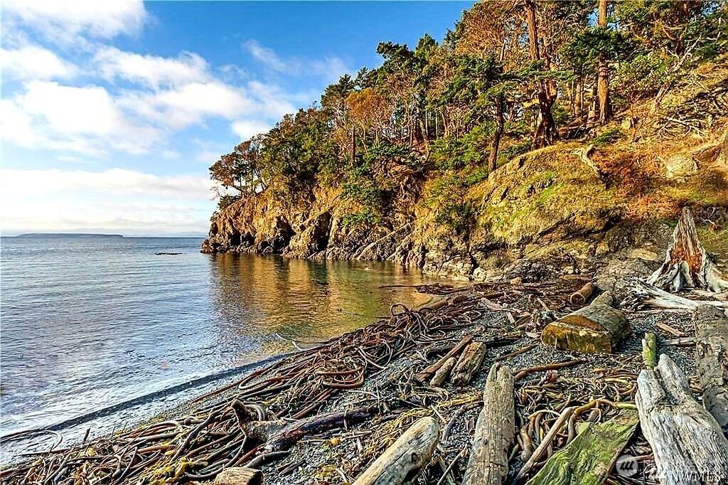 265 Madrona Drive Friday Harbor WA 98250