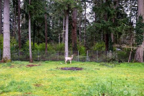 3342 Stanford Court SE Lacey WA 98503
