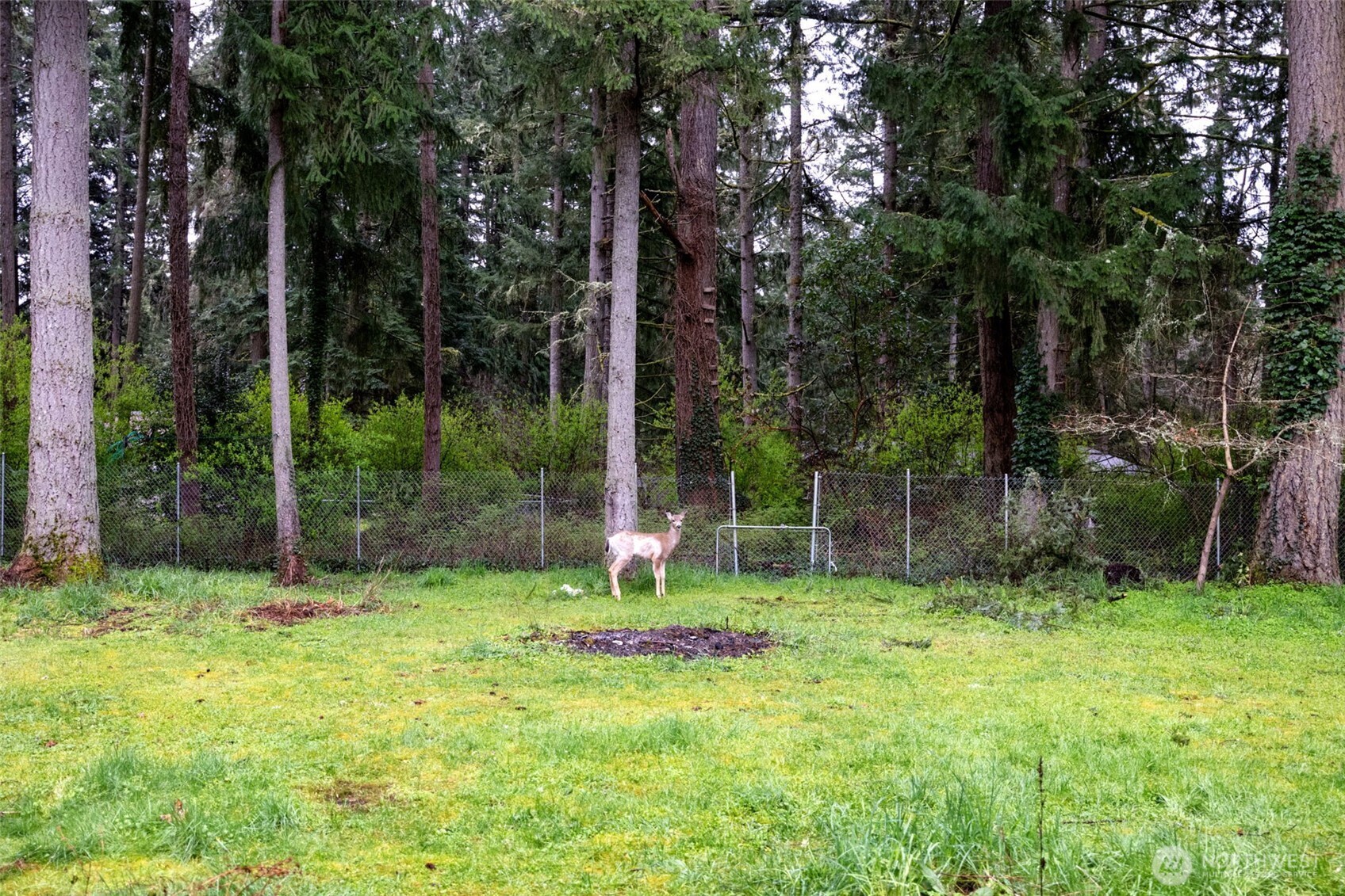 3342 Stanford Court SE Lacey WA 98503