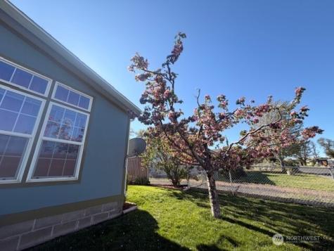 330 N Juniper Street Soap Lake WA 98851