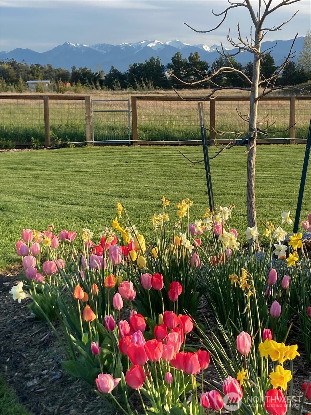 73 Cobb Circle Sequim WA 98382