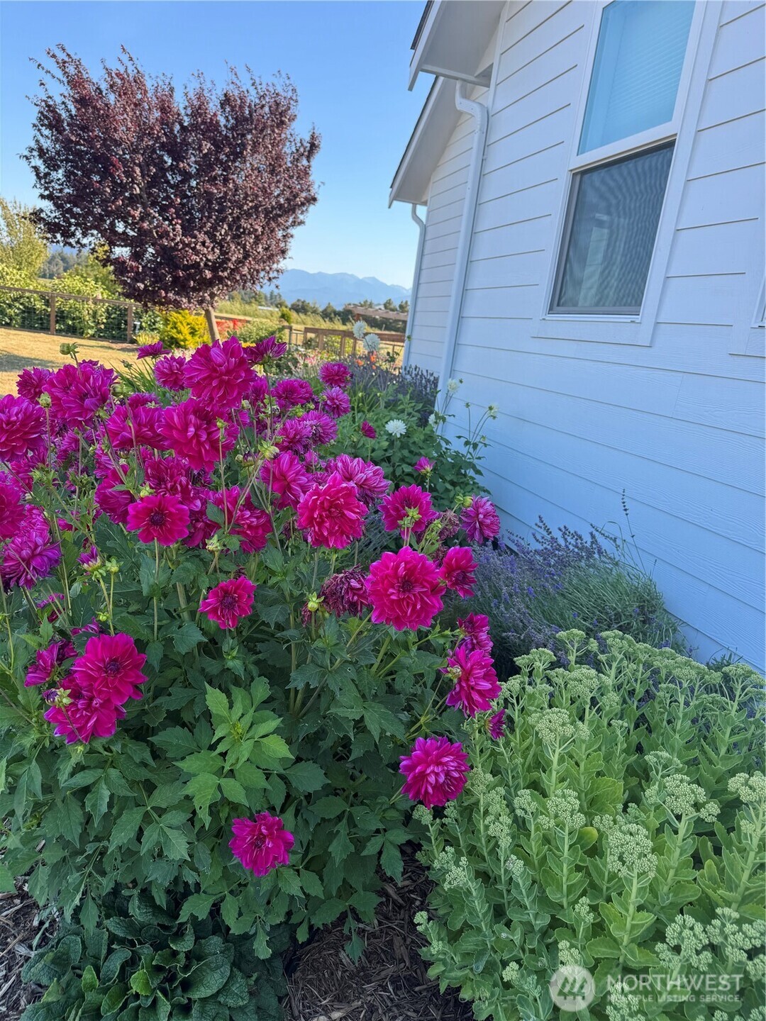 73 Cobb Circle Sequim WA 98382