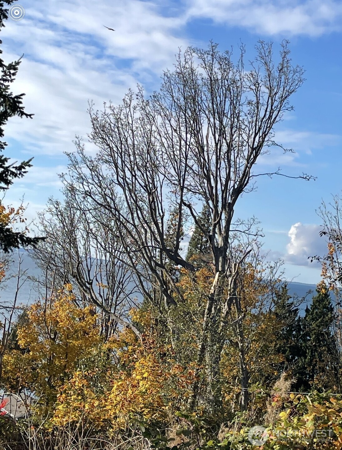 8795 Charel Drive Blaine WA 98230
