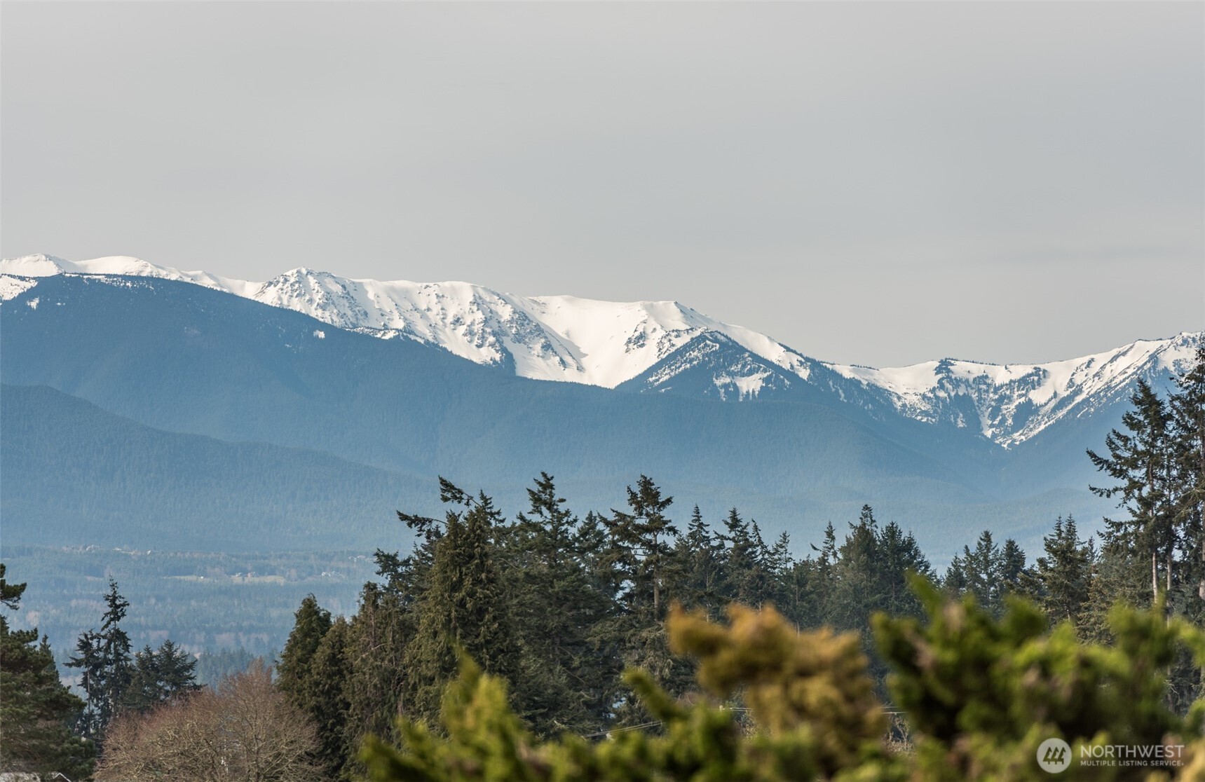 241 Lone Eagle Lane Sequim WA 98382