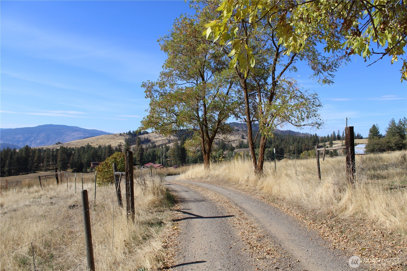 640 Highland Loop Road Kettle Falls WA 99141