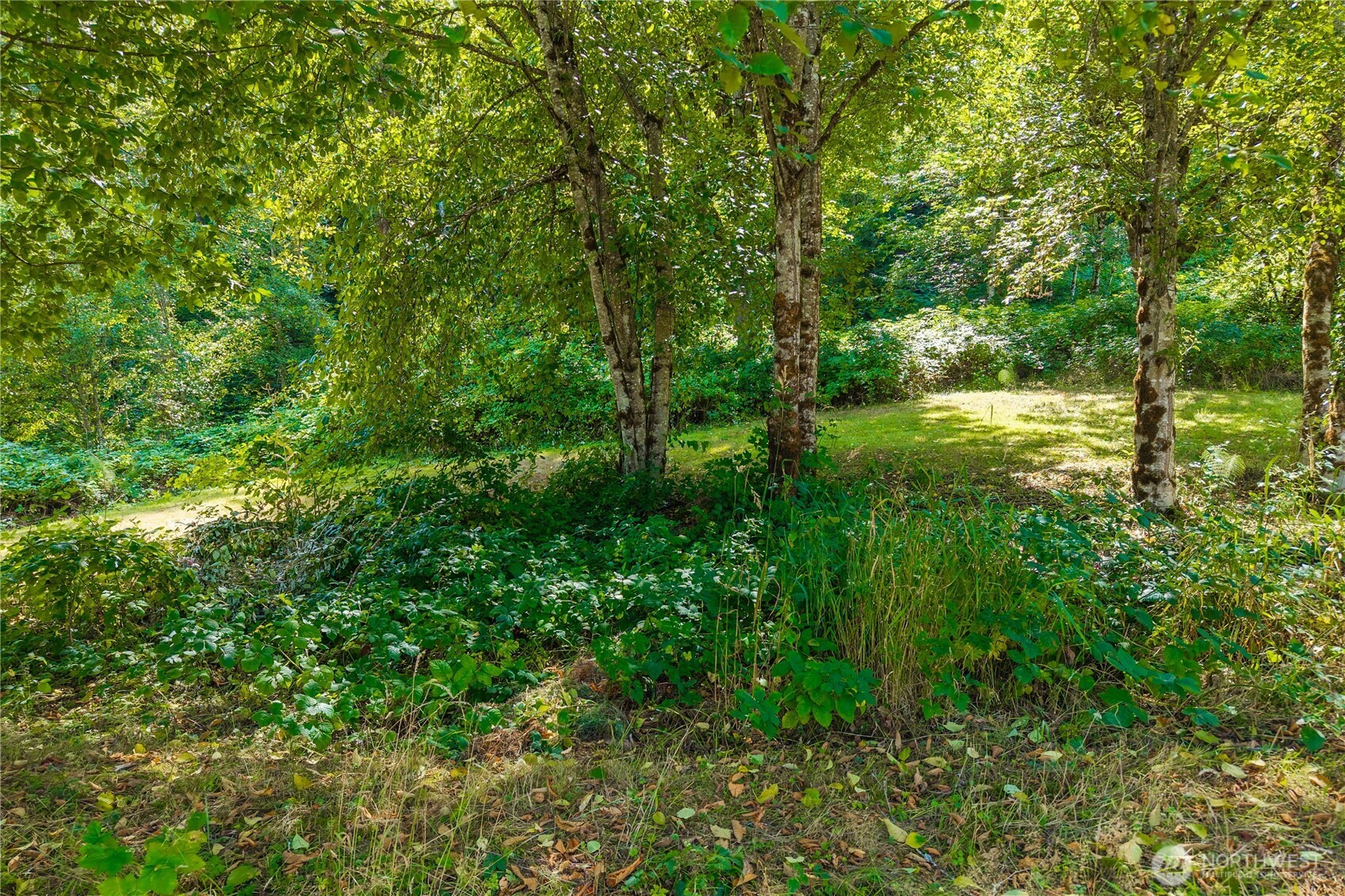 18201 Renton Maple Valley Road SE Maple Valley WA 98038