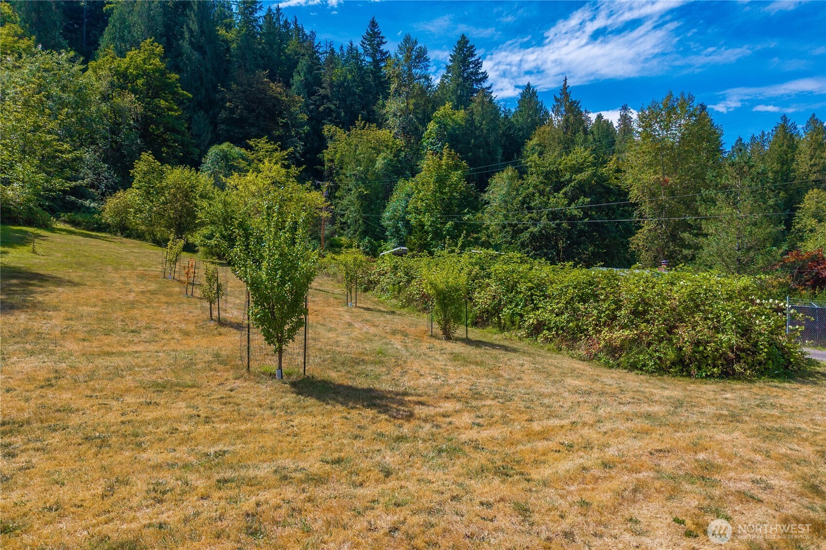 18201 Renton Maple Valley Road SE Maple Valley WA 98038