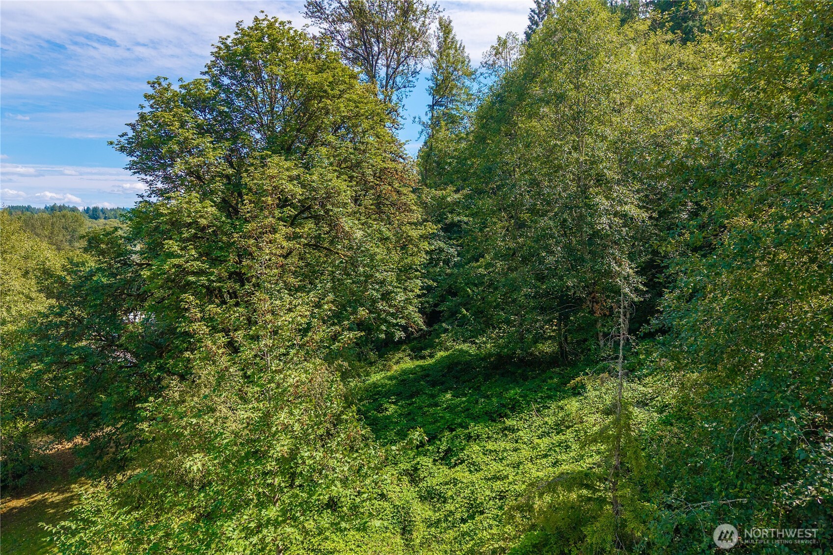 18201 Renton Maple Valley Road SE Maple Valley WA 98038