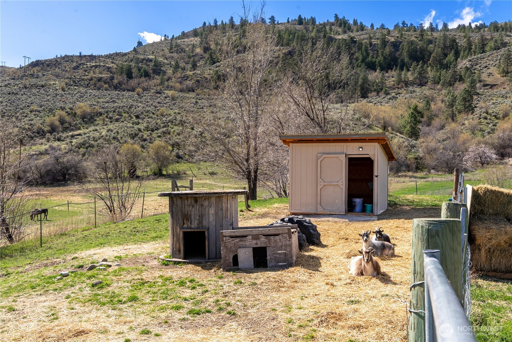 31 Rooster Flats Oroville WA 98844