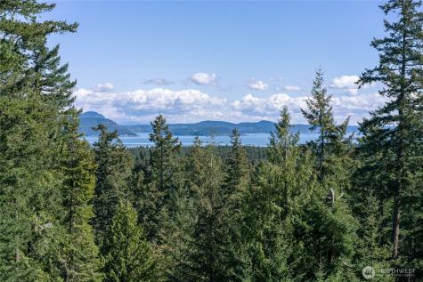 123 South Ridge Road Decatur Island WA 98221
