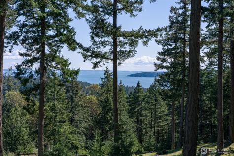123 South Ridge Road Decatur Island WA 98221