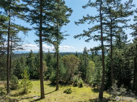 123 South Ridge Road Decatur Island WA 98221