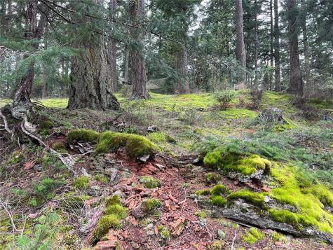 123 South Ridge Road Decatur Island WA 98221