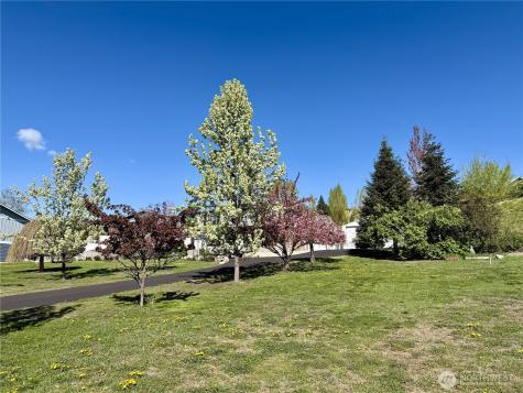 175 Green Avenue Manson WA 98831