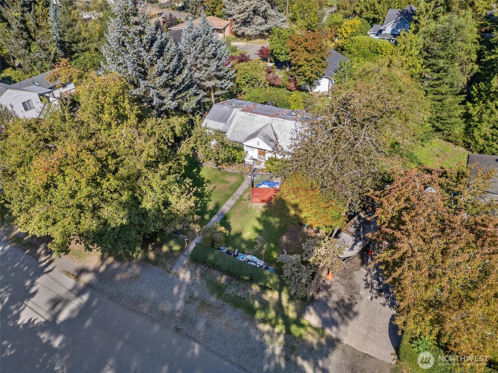 2704 NE 92nd Street Seattle WA 98115