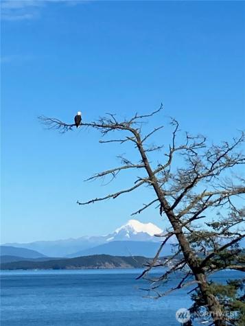 403 Eliza Road Lopez Island WA 98261