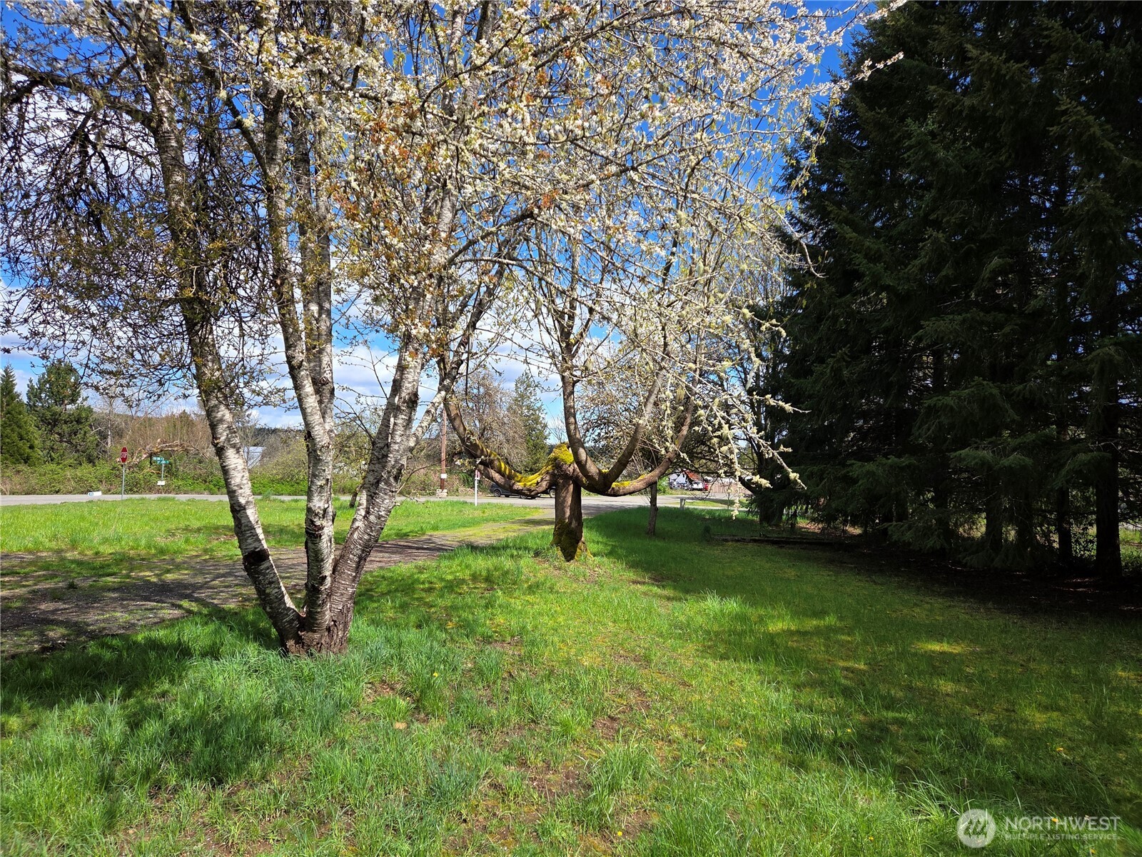 175 Stevens Road Doty WA 98532