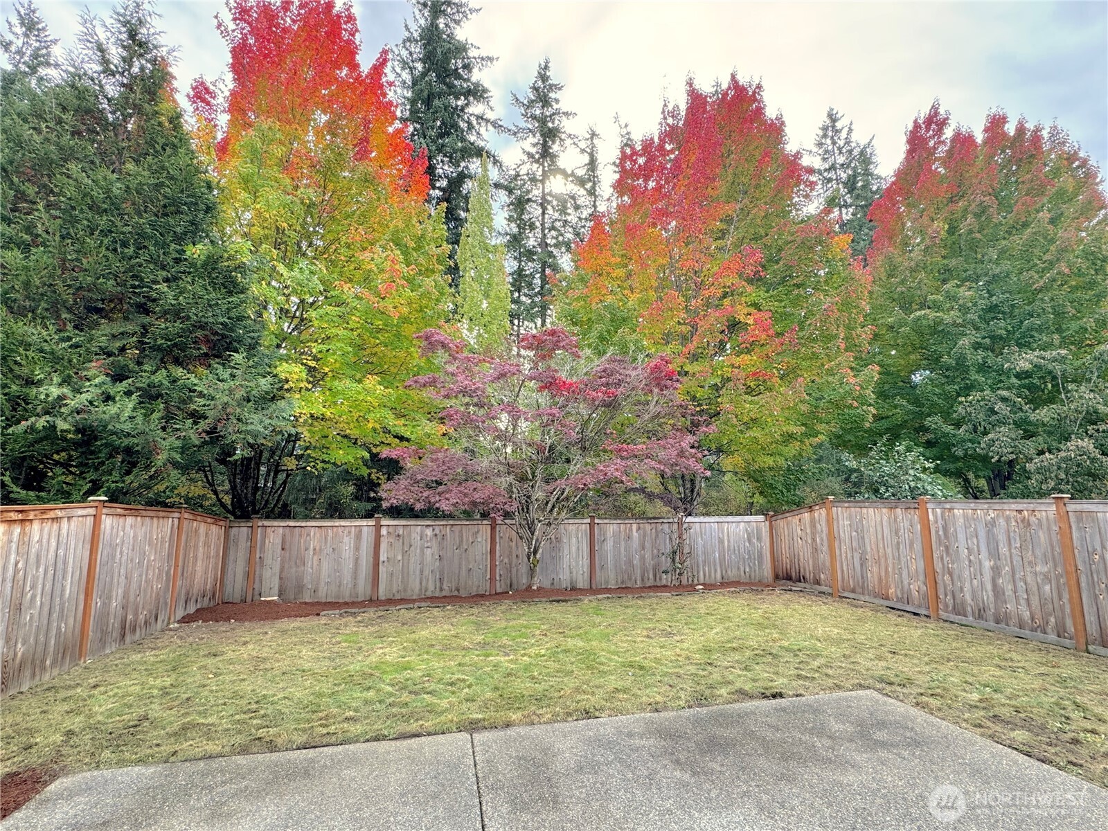 23515 SE 243rd Place Maple Valley WA 98038