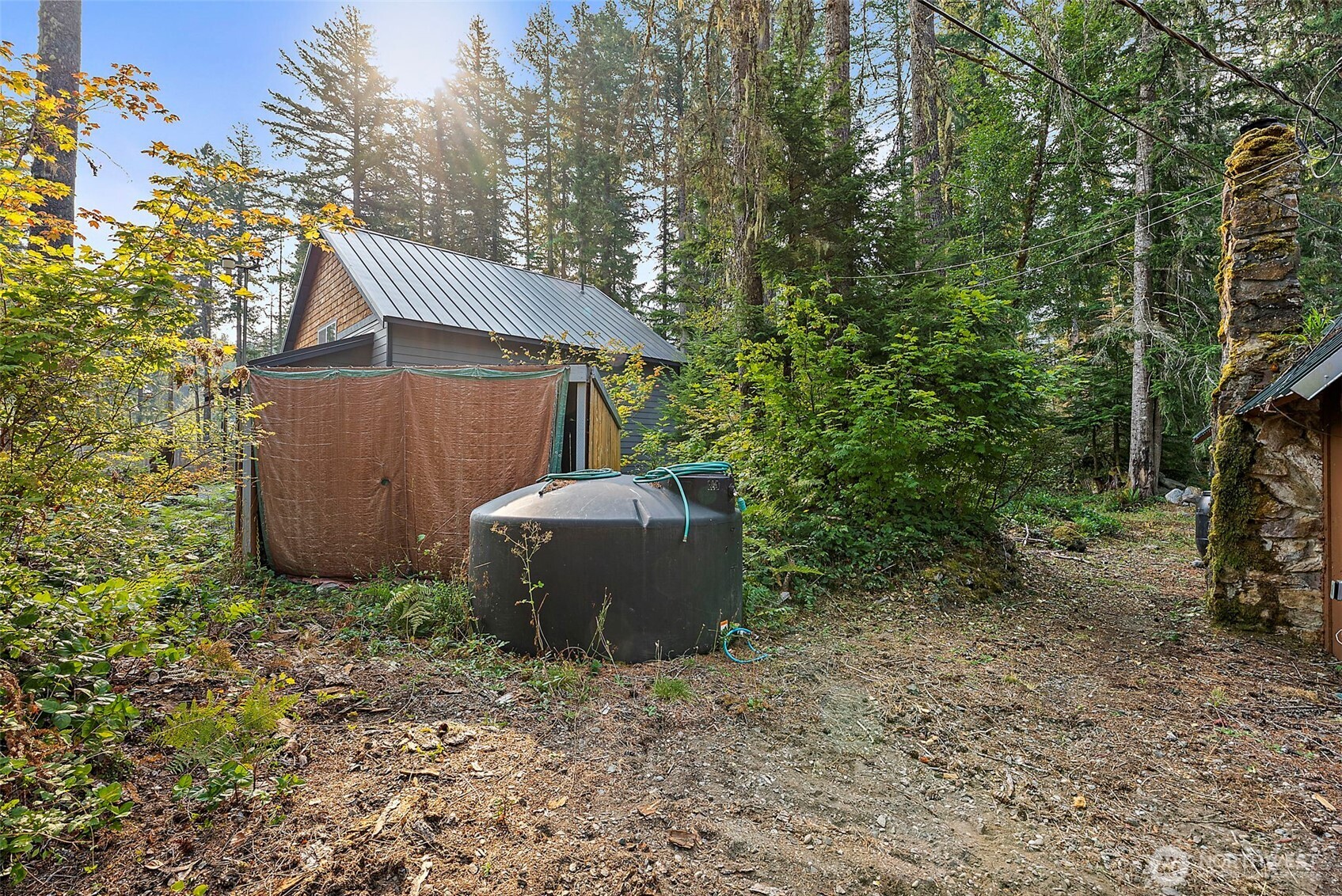 270 Skate Creek Road N Ashford WA 98304