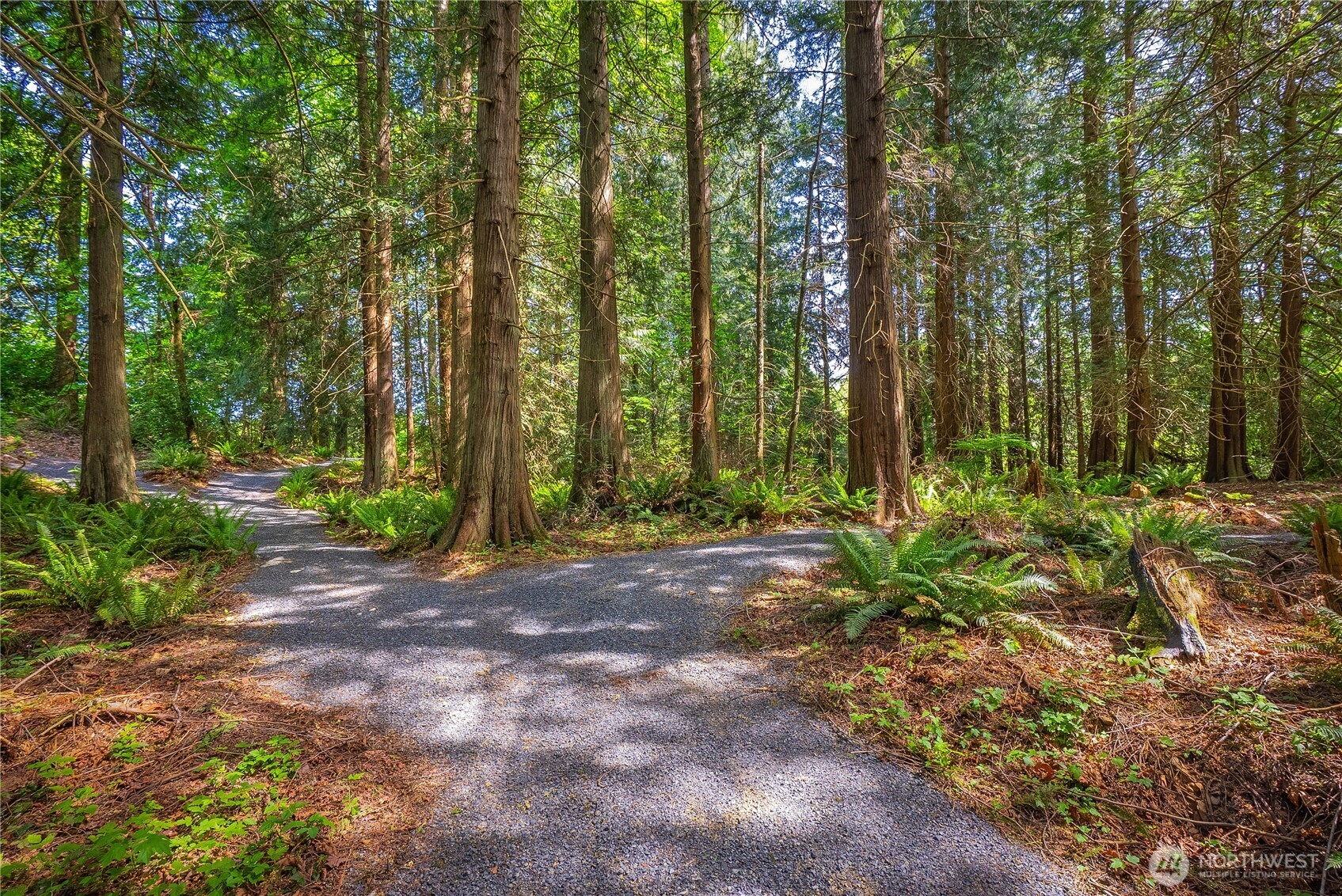 12410 80th Street SE Snohomish WA 98290