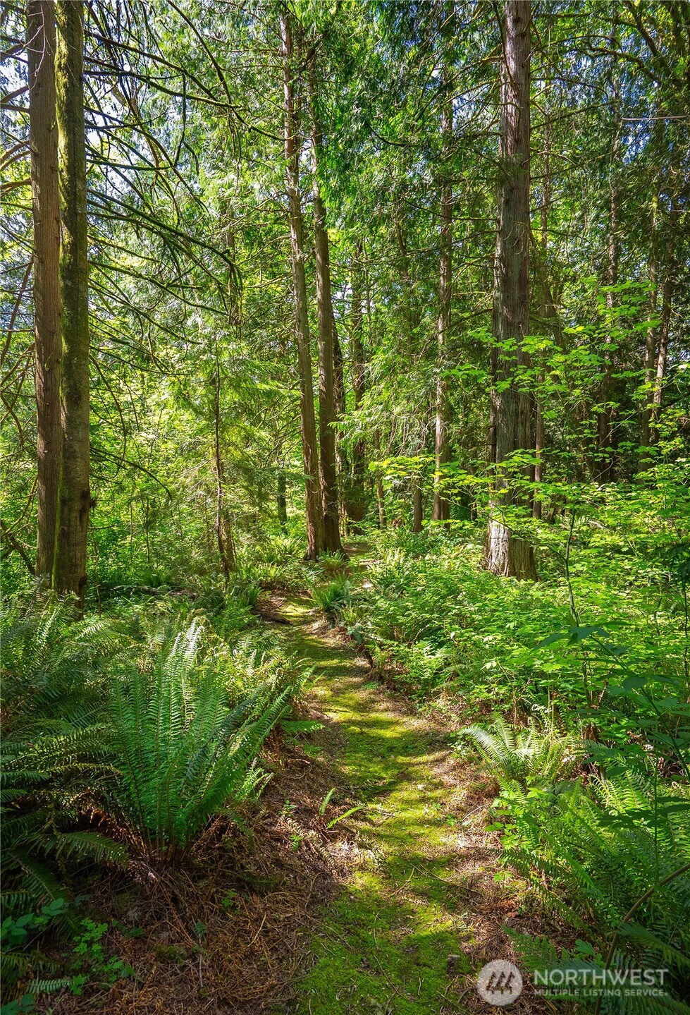 12410 80th Street SE Snohomish WA 98290