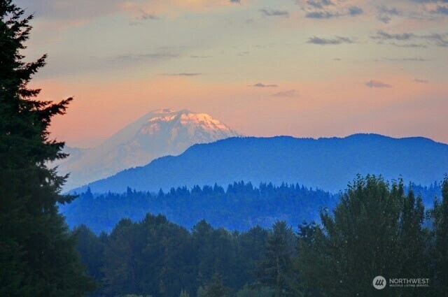 16990 NE 84th Court Redmond WA 98052
