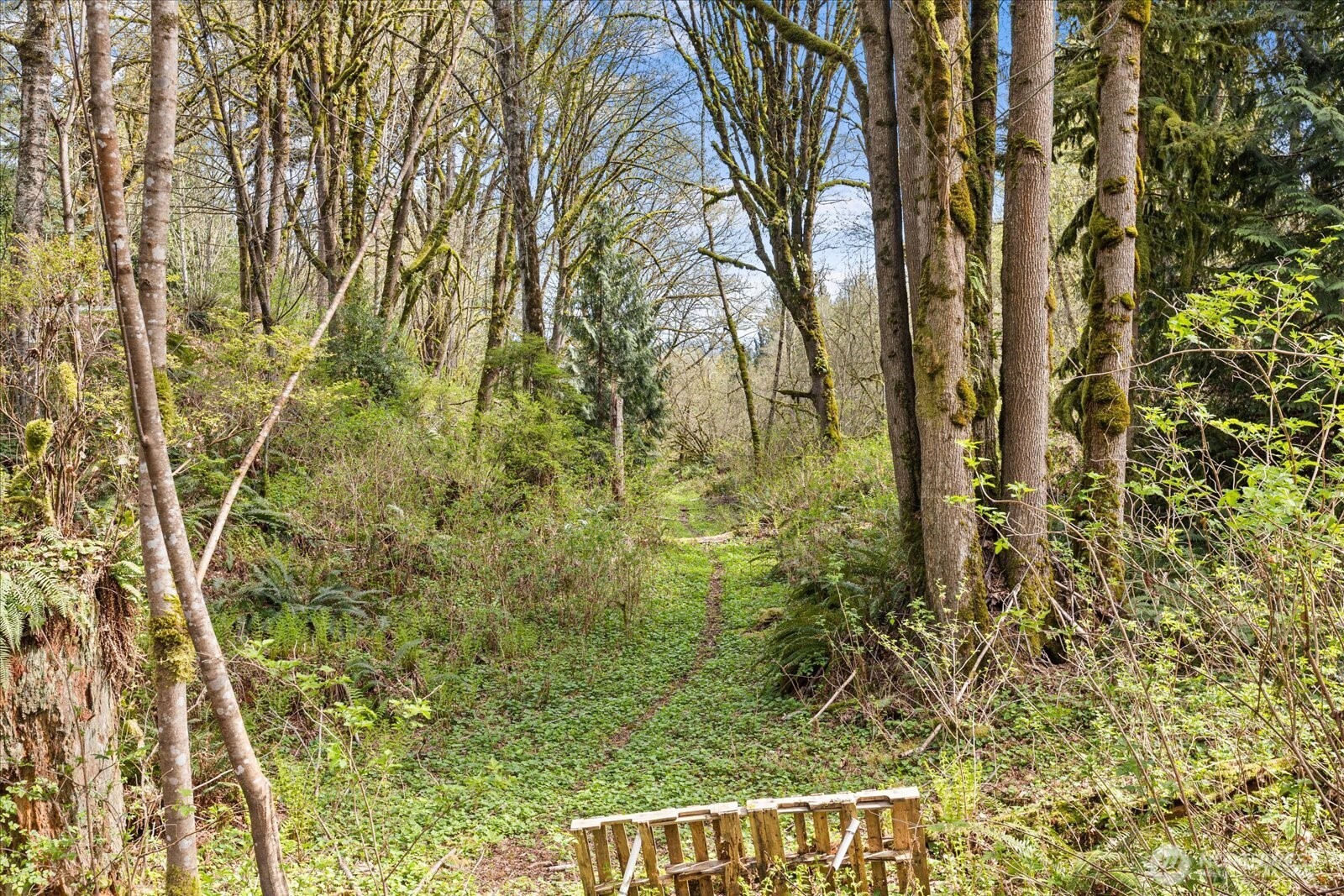 13321 Burn Road Arlington WA 98223