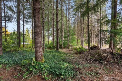 179 Valley View Drive Mossyrock WA 98564