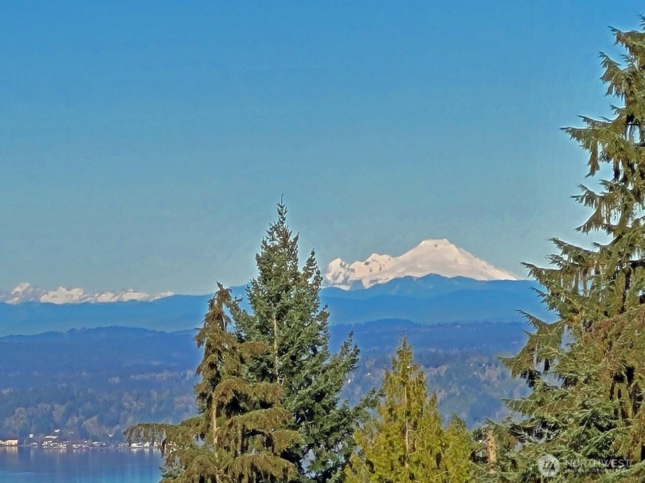 18503 SE 64th Way Issaquah WA 98027