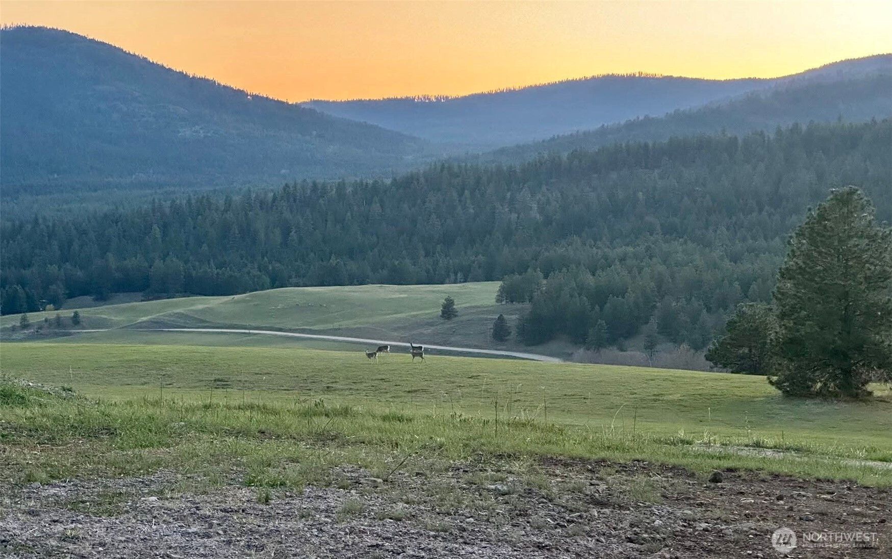 54 Hardrock Road Republic WA 99166