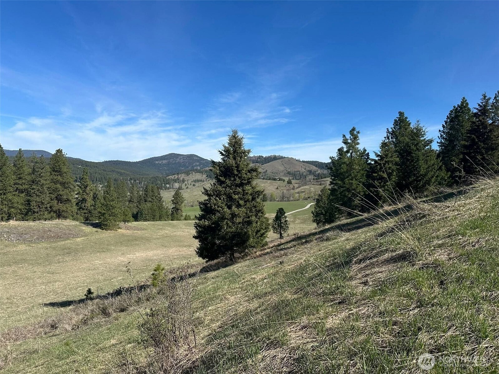 54 Hardrock Road Republic WA 99166