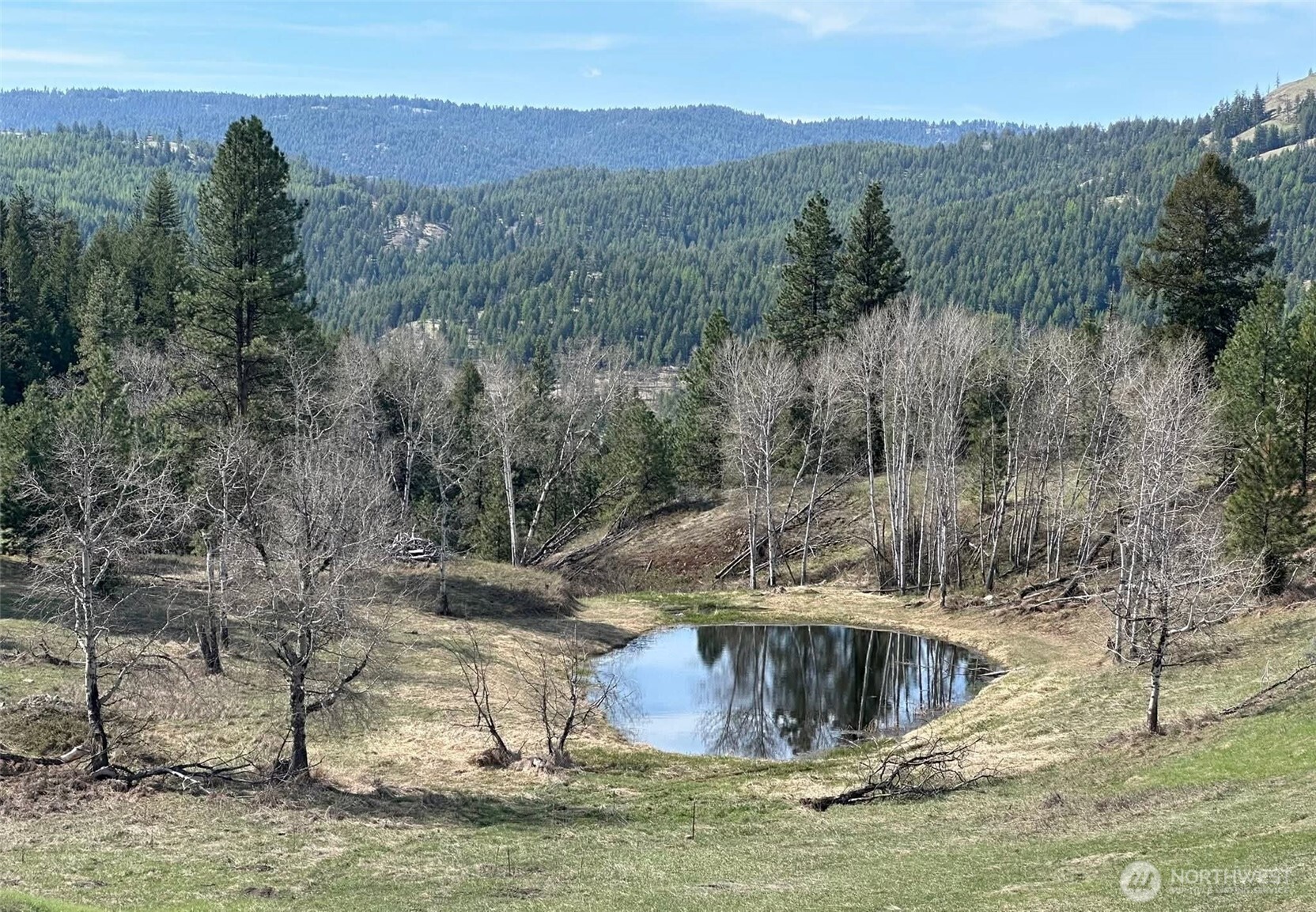 54 Hardrock Road Republic WA 99166