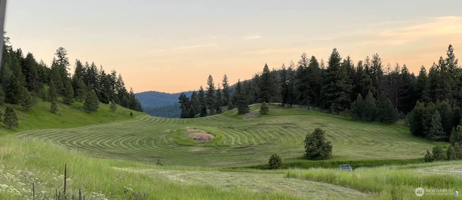 54 Hardrock Road Republic WA 99166
