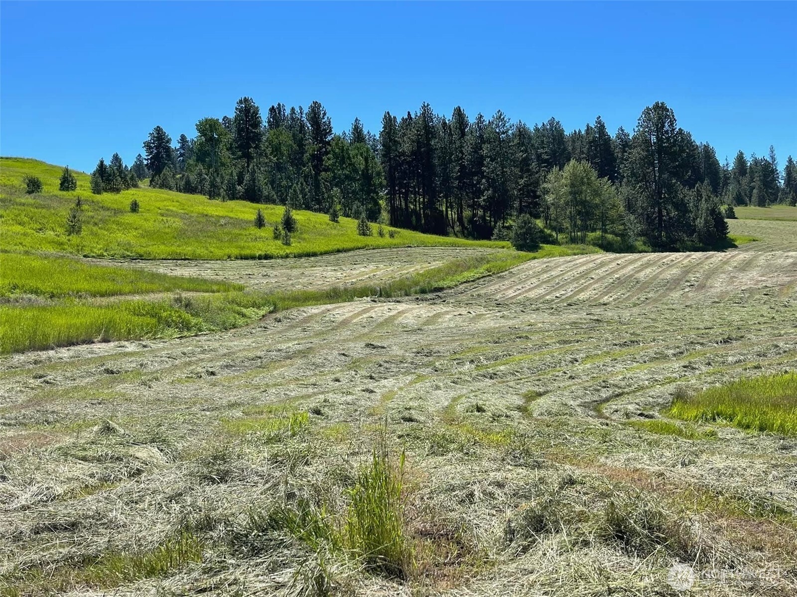 54 Hardrock Road Republic WA 99166